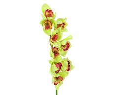 Euro Palms 82530313 jarrón con orquídea Ramas, 90 cm, Verde