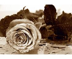 AG Design FTS 0086 Mural fotogrÃ¡fico para la Pared, Multicolor, 360 x 254