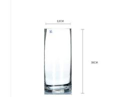 HMY Vidrio Transparente Florero,Piso-en Pie Cilindro Floreros,decoración Candelero Flor Florero,Adecuado para Dormitorio Salón Escritorio Transparente G H30xw12cm