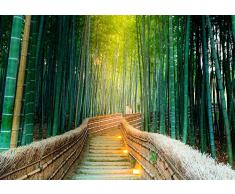 Fotomural Vinilo Pared Zen Bosque BambÃº | Fotomurales Pared | Fotomural Decorativo | Vinilo Decorativo | Varias Medidas 100 x 70 cm | DecoraciÃ³n de comedores, Salones | Multicolor | DiseÃ±o Elegante
