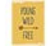 Panorama Lienzo Infantil para habitación Frase Young Wild and Free 21x30cm - Impreso en Lienzo con Bastidor - Cuadros Infantiles - Cuadros para habitación bebés y niños - Decoración habitación bebé