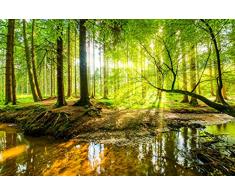 Fotomural Vinilo Bosque Primavera | Fotomurales | Fotomural pared | Fotomural Decorativo | Vinilo Decorativo | Varias Medidas 100x70cm | Para la decoración de comedores, salones | Motivos Paisajisticos | Urbes, Naturaleza, Arte