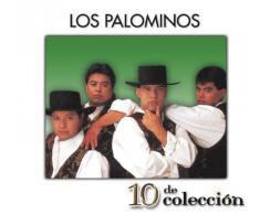 En un Bouquet de Rosas