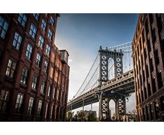 Oedim - Fotomural Vinilo Pared New York Varias Medidas 350x250cm | DecoraciÃ³n de comedores, Salones | Motivos Paisajisticos | Urbes, Naturaleza, Arte| Multicolor | DiseÃ±o Elegante|