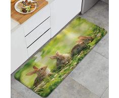 ELIENONO Alfombrillas de Cocina Antideslizantes Lavables,Animal Gracioso Conejos mullidos Conejito Familia en Margaritas Hierba Pascua Prado Fresco,Felpudos Cocina Dormitorio