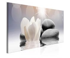 murando Cuadro en Lienzo Flores SPA 120x40 cm 1 Parte impresión en Material Tejido no Tejido Cuadro de Pared impresión artística fotografía Imagen gráfica decoración Piedras Zen b-B-0268-b-a
