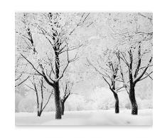 murando - Fotomural 400x309 cm - Papel tejido-no tejido - Papel pintado - naturaleza - 100403-164