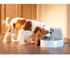 PetSafe Drinkwell - Fuente para Mascotas