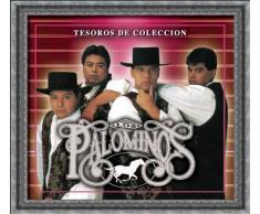 En un Bouquet de Rosas