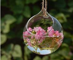 Haodou florero de cristal Jarrón hidropónico Forma de bola clara decoración de cristal de la planta de la chuchería florero decoración Contenedor hidropónico de terrarios