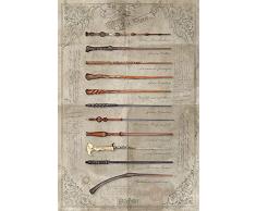 Wizarding World Harry Potter-The Wand Chooses Maxi Póster, multicolor, 61 x 91,5 cm