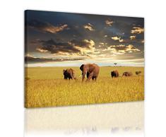 Bilderdepot24 Cuadros en LienzoElefantes XXL - 80x60 cm 1 pieza - Enmarcado listo Bastidor imagen. directamente desde el fabricante