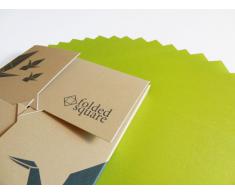 Conjunto de regalo de 100 hojas de papel para papiroflexia - Pantone Verde 390