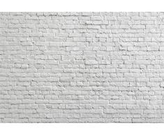 Cassisy 3x2m Vinilo Telon de Fondo Resumen Vendimia Blanqueado Retro Textura vacía Pared De Ladrillo Blanco Fondos para Fotografia Party Photo Studio Props Photo Booth