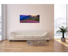 Cuadro sobre lienzo - de una sola pieza - Impresión en lienzo - Ancho: 100cm, Altura: 40cm - Foto número 2676 - listo para colgar - en un marco - AB100x40-2676