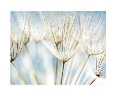 Papel Pintado Fotográfico Diente de león 352 x 250 cm Tipo Fleece no-trenzado Salón Dormitorio Despacho Pasillo Decoración murales decoración de paredes moderna - 100% FABRICADO EN ALEMANIA - 9002011b