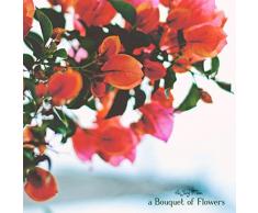 A Bouquet of Flowers