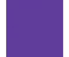 Personalizado Nombre Niña - Vinilo Decorativo para pared hadas Hada Campanilla Estrellas - [sólo Mensaje US con el nombre.], Morado, Large (950x290mm)