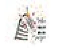 Panorama® Lienzo Infantil para habitación Zebra Make Your Own Magic 70x100cm | Impreso en Lienzo con Bastidor | Cuadros Infantiles | Cuadros para habitación bebés y niños | Decoración habitación bebé