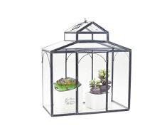 Terrario Casa En Forma De Bola De Cristal De Cristal Geométrica De Helechos Mostrará La Caja De Musgo Cerrados Jarrones Decorativos Balcón De La Oficina ( Color : Black , Size : 24.5x13.5x26.2cm )