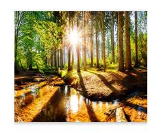 murando Fotomurales autoadhesivo Bosque 343x256 cm Papel Pintado Decoración de Pared Murales Pegatina decorativos adhesivos 3d moderna de Diseno Fotográfico Paisaje Naturaleza c-B-0267-a-a