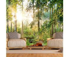 murando - Fotomural 250x175 cm - Papel tejido-no tejido - Papel pintado - Paisaje Naturaleza Foresta - c-C-0032-a-b