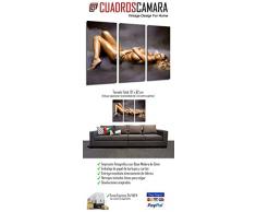 Cuadros Cámara Poster Fotográfico Multicolor 97 x 62 cm