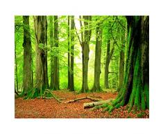 Papel Pintado Fotográfico Bosque 352 x 250 cm Tipo Fleece no-trenzado Salón Dormitorio Despacho Pasillo Decoración murales decoración de paredes moderna - 100% FABRICADO EN ALEMANIA - 9037011a