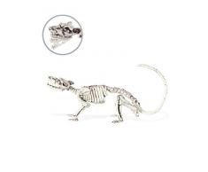 Decoración esqueleto rata 16x23 cm Halloween