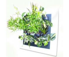 Cuadro/Marco Flowall para Kit de Pared Vegetal/Muro verde (Blanco)