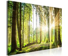 murando Cuadro Mega XXXL Bosque 165x110 cm Cuadro en Lienzo en Tamano XXL Estampado Grande Gigante Imagen para Montar por uno Mismo Decoración De Pared Impresión DIY Arbol Naturaleza c-B-0077-ak-a