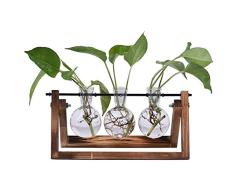 SUNREEK - Jarrón de Cristal para macetas de Escritorio, 3 jarrones de Bombilla de Cristal, Soporte de Madera Maciza para Plantas hidropónicas, jardín, decoración de Boda