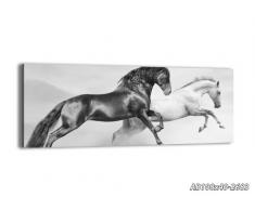 Cuadro sobre lienzo - 100x40 cm - Impresión en lienzo - Panorama - de una sola pieza - listo para colgar - en un marco - Foto número 2683 - AB100x40-2683