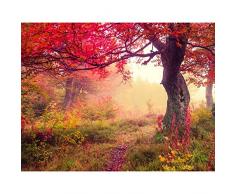 Papel Pintado Fotográfico Bosque de otoño Tipo Fleece no-trenzado Salón Dormitorio Despacho Pasillo Decoración murales decoración de paredes moderna - 100% FABRICADO EN ALEMANIA - 9079010a