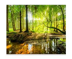 murando Fotomurales 300x210 cm XXL Papel pintado tejido no tejido Decoración de Pared decorativos Murales moderna de Diseno Fotográfico Bosque Naturaleza c-B-0241-a-a