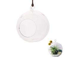 Fablcrew jarrón suspendida (Cristal Transparente, Bola para Plantas Flores Vela decoración de Boda Jardín Casa