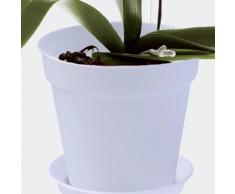 Elho 2055290 - Conceptos básicos de orquídeas Verdes del Maceta Creciente Transparentes de 13 x 13 x 12 cm