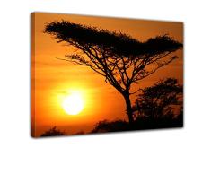 Bilderdepot24 Cuadros en Lienzo Árbol del Acacia en la Puesta del Sol, Tanzania Serengeti África 50x40 cm - Enmarcado Listo Bastidor Imagen. Directamente Desde el Fabricante