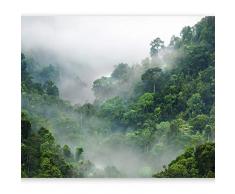 murando Fotomurales autoadhesivo Selva 343x256 cm Papel Pintado Decoración de Pared Murales Pegatina decorativos adhesivos 3d moderna de Diseno Fotográfico Naturaleza Madera Tropical c-B-0346-a-a