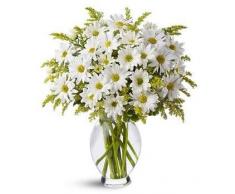 RAMO DE MARGARITAS BLANCAS NATURALES FRESCAS!! FLORES A DOMICILIO ENVIO URGENTE 24h! + TARJETA CON NOTA PERSOANLIZADA GRATIS!!