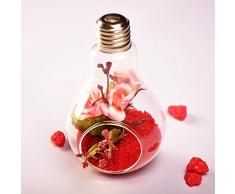 JUNGEN Florero en Forma de Bulbo Jarrón de Vidrio de Planta Flor Decoración de Escritorio, Transparente