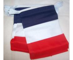 GUIRNALDA 6 metros 20 BANDERAS de FRANCIA 21x15cm - BANDERA FRANCESA 15 x 21 cm - BANDERINES