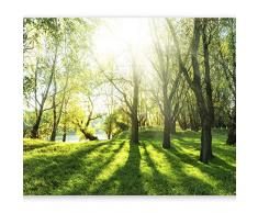 murando Fotomurales autoadhesivo Bosque 441x315 cm Papel Pintado Decoración de Pared Murales Pegatina decorativos adhesivos 3d moderna de Diseno Fotográfico Naturaleza Paisaje Verde c-B-0336-a-a