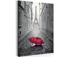 murando Pintura por Números Cuadros de Colorear por Números Kit para Pintar en Lienzo con Marco DIY Bricolaje Adultos Niños Decoracion de Pared Regalos - París 40x60 cm - DIY - n-A-0340-d-a