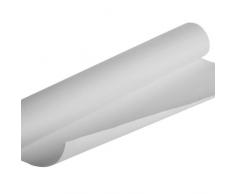 Rollo de lienzo, A: 50 cm, 380 gr, 5m