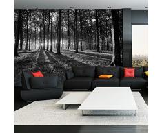 Fotomural 400x280 cm ! Papel tejido-no tejido. Fotomurales - Papel pintado Bosque c-B-0042-a-a