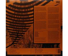 Days,Nights & the Late Morning Lights [Vinilo]