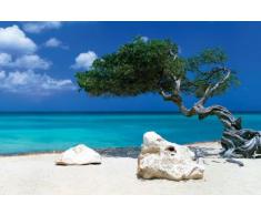 GB eye LTD, Tom Mackie, Divi Divi Tree, Maxi Poster, 61 x 91,5 cm