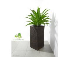 Maceteros para plantas de polyrattan marca Gartenfreude incluye insertos plásticos y sistema de riego para el interior y el exterior, marrón bicolor, 28 x 28 x 60 cm
