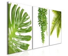 murando - Cuadro en Lienzo Tropical Hojas Monstera 120x60 - Impresión de 3 Piezas Material Tejido no Tejido Impresión Artística Imagen Gráfica Decoracion de Pared - Verde b-B-0309-b-e